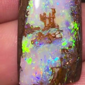 Beautiful wood fossil opal wood replacement, investment 20.2ct, A21