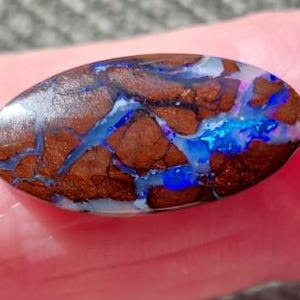 May include: An oval-shaped boulder opal gemstone featuring a polished, smooth surface with a dark brown ironstone matrix. The stone displays vibrant, iridescent veins of electric blue and flashes of purple colour throughout the brown rock.