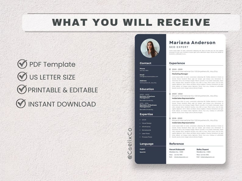 Editable Resume Template Canva | Modern CV Template | Professional ...