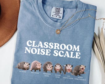 Classroom Noise Scale Shirt, Funny Possum Teacher Tee, Opossum Meme Top, Educator Gift, Unhinged Teacher Shirt, Back to School Outfit