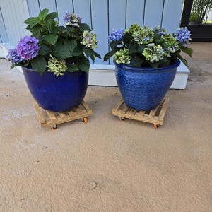 small trellis for potted plants Small Arch Plant Trellis – Coco and Duckie main image 0