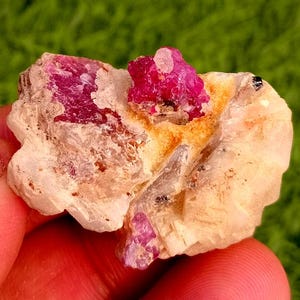 Op de afbeelding: Close-up van een ruw mineraal specimen. De steen heeft dieprode robijnkristallen ingebed in een matrix van beige en gebroken wit gesteente. De robijnkristallen hebben een kristallijne structuur.