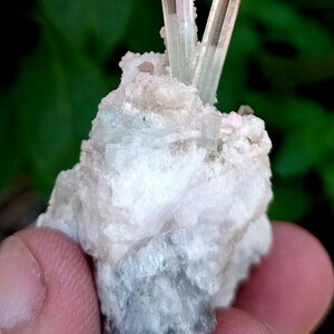 May include: A close-up of a mineral specimen featuring a cluster of pale green tourmaline crystals atop a white matrix. The crystals are elongated and translucent, with a subtle pink hue. The matrix has a rough, textured appearance.