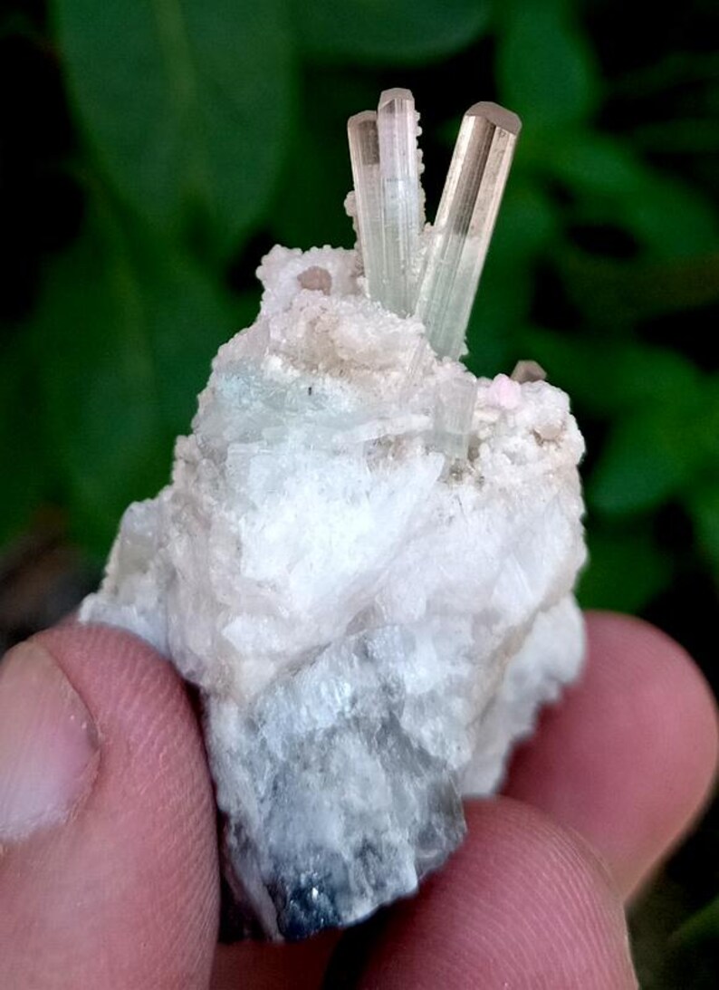 May include: A close-up of a mineral specimen featuring a cluster of pale green tourmaline crystals atop a white matrix. The crystals are elongated and translucent, with a subtle pink hue. The matrix has a rough, textured appearance.