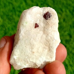 May include: A hand holds a piece of raw, off-white rock with two small, dark red crystals embedded in it. The crystals have a geometric shape and are a deep, rich red colour. The background is a blurred green.