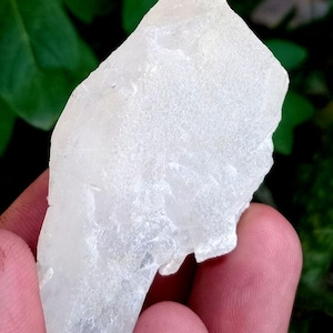 Può includere: Frammento di cristallo traslucido bianco sporco con una superficie ruvida e strutturata. Il cristallo è tenuto in una mano, con fogliame verde sullo sfondo. La forma del cristallo è irregolare, con un bordo leggermente appuntito.