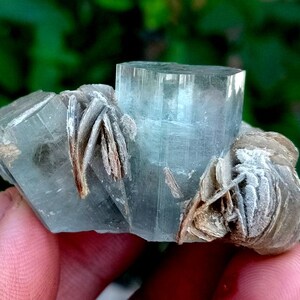 May include: A close-up of a raw aquamarine crystal with a clear, light blue hue. The crystal is surrounded by a cluster of beige, layered mineral formations. The background is a blurred green.