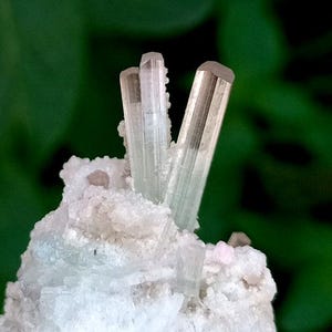 May include: Close-up of a cluster of pale, translucent tourmaline crystals. The crystals are a light green color with a subtle pinkish hue at the tips, set against a backdrop of white quartz. The background is a blurred, deep green.