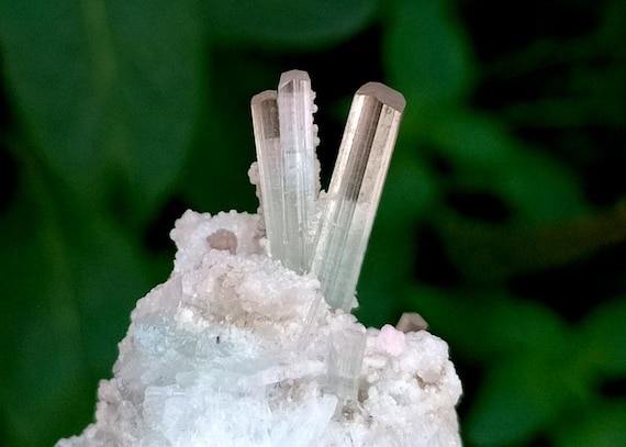Twin Bi Color Tourmaline With Albite Specimen From Paprok Afghanistan (42 Grams)