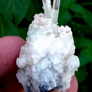 May include: Close-up of a mineral specimen featuring a cluster of white and gray crystals with several translucent, light pink-tipped, columnar crystals. The background is a blurred green.