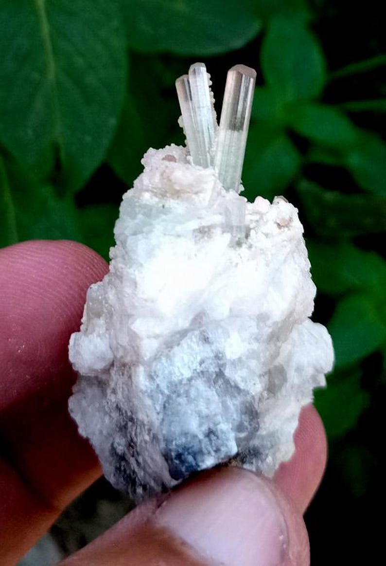 May include: Close-up of a mineral specimen featuring a cluster of white and gray crystals with several translucent, light pink-tipped, columnar crystals. The background is a blurred green.