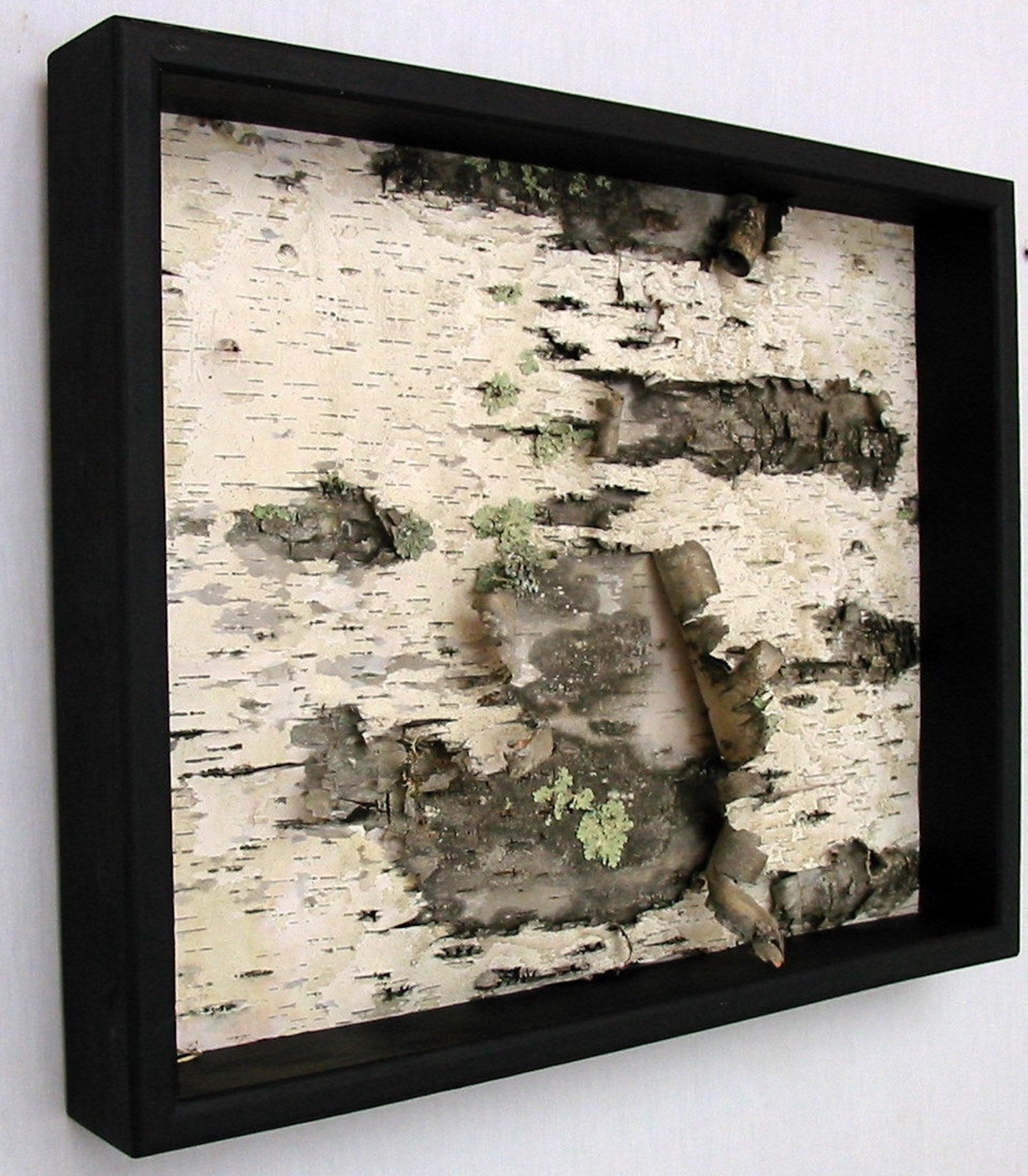 Framed Birch Bark Wall Hanging Black and White Rustic Etsy