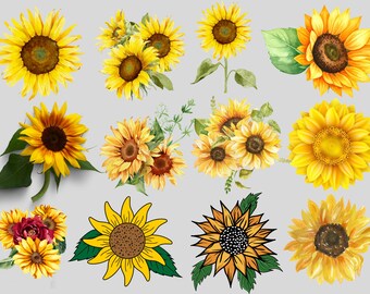Pacchetto di clipart di girasoli, ghirlande di girasoli, bouquet floreali, sublimazione, uso commerciale, download istantaneo