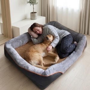 This Large Waterproof & Ultra-Soft Memory Foam Dog Bed is Designed for Large Dogs Features a Raised Cushion and Removable Cover.