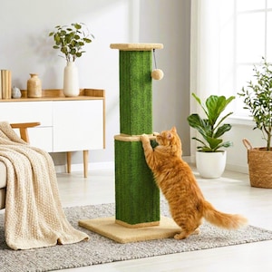 May include: A green cat scratching post with a beige base and top platform. An orange cat is seen scratching the post. The post has a dangling toy. The cat tree is in a living room setting with plants and furniture.