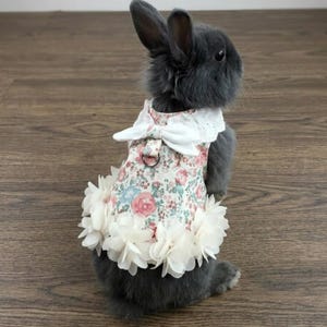 Puede incluir: Un conejo gris que lleva un vestido con estampado floral con un cuello de encaje blanco y un lazo grande. El vestido tiene un ribete de flores blancas en la parte inferior. El conejo está sentado sobre una superficie de madera.