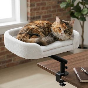 May include: A white plush cat bed with raised sides attached to a black metal clamp mount. The mount is secured to the edge of a wooden table. A long-haired calico cat with orange, black, and white fur is resting inside the soft, rectangular bed.