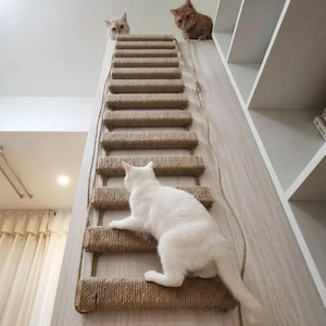 Puede incluir: Un gato sube por una escalera de cuerda de sisal fijada a una pared, con otros dos gatos observando desde arriba. La escalera tiene peldaños rectangulares y está montada sobre una superficie de madera clara. Un gato blanco sube por la escalera.