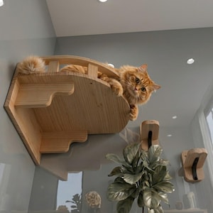 Può includere: Una mensola in legno per gatti con un design a ponte curvo. La mensola è montata su una parete grigia e presenta una finitura marrone chiaro. Un gatto arancione è appoggiato sulla mensola, guardando in basso. Ulteriori accessori in legno per gatti sono montati sotto.