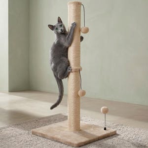 Puede incluir: Un gato gris trepa por un rascador beige. El poste tiene una base cuadrada y una superficie cilíndrica para rascar. Dos pequeñas bolas de juguete colgantes están unidas. El gato tiene ojos verdes.