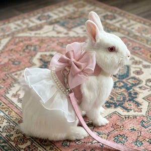 Puede incluir: Un conejo blanco lleva un arn&eacute;s rosa con un gran lazo de organza, un borde de volantes blancos y una hilera de peque&ntilde;as perlas blancas. Una correa rosa a juego est&aacute; sujeta al arn&eacute;s con un clip de metal plateado que cuelga hacia abajo.