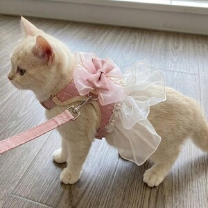 Puede incluir: Un gato de color crema claro lleva un arn&eacute;s de tela rosa polvoriento con una correa a juego. El arn&eacute;s presenta un gran lazo de organza rosa en capas en la espalda, acentuado con una falda de volantes blanca y peque&ntilde;as perlas blancas.