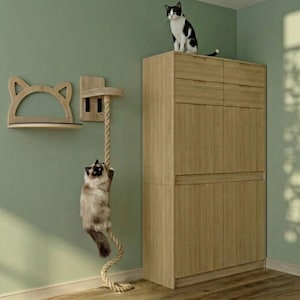 May include: A cat climbing a rope attached to a wooden cat tree with a shelf and a second cat sitting on top of a wooden cabinet. The cat tree and cabinet are against a green wall.