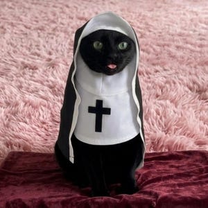 Puede incluir: Un gato negro con un disfraz de monja blanco y negro. El disfraz cuenta con una toca blanca y un panel frontal blanco con un símbolo de cruz negra centrado. El gato tiene ojos verdes y se le puede ver una pequeña parte de la lengua.