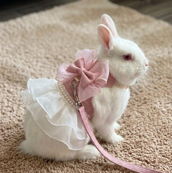 Fancy Pet Dress-Harness with Leash & Bow Luxurious Rabbit Attire for Weddings Special Occasions Princess Rabbit Harness Set Pink Blue Yellow
