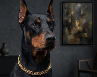 Puede incluir: Un perro Doberman Pinscher con un collar de cadena dorada brillante. El perro tiene un pelaje negro con marcas marrones en el hocico y el pecho. El fondo incluye una pintura y una pared gris oscuro.