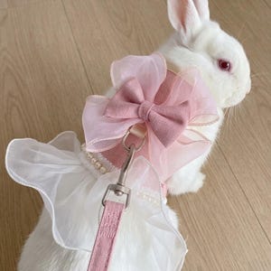 Puede incluir: Un conejo blanco con un arn&eacute;s rosa que incluye un gran lazo de organza, un borde de volantes blanco y una hilera de perlas falsas. Una correa rosa a juego con un mosquet&oacute;n de metal plateado est&aacute; sujeta al arn&eacute;s de tela texturizada.