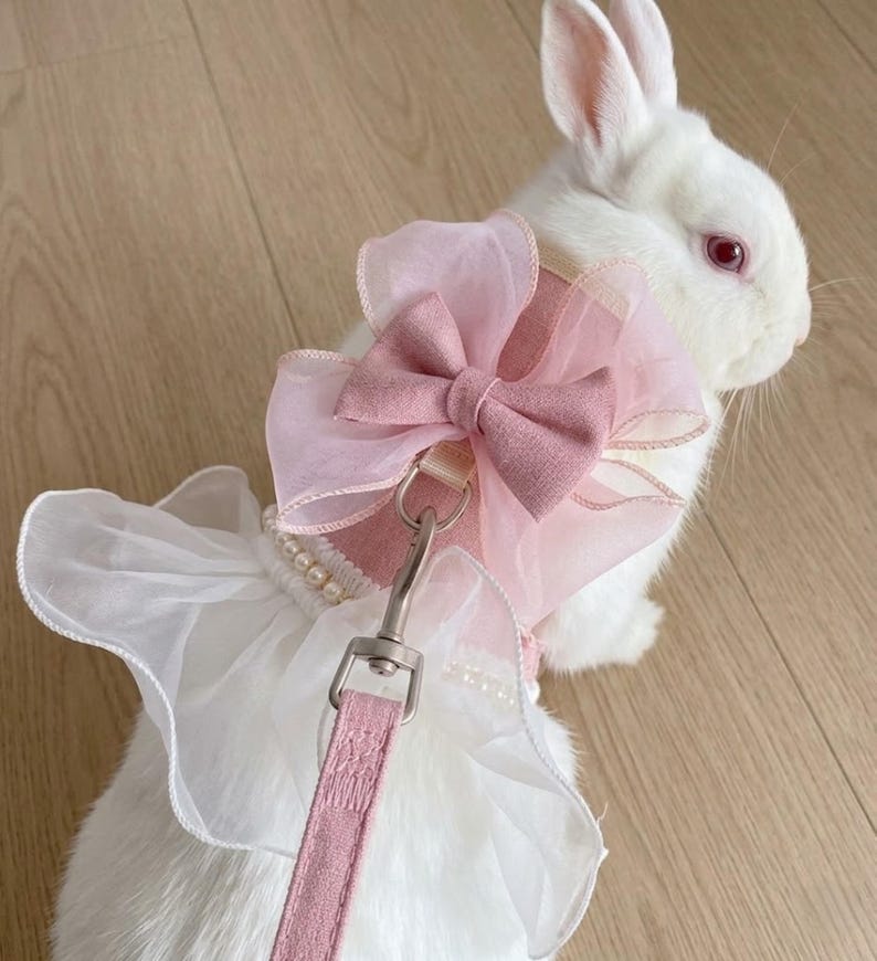 Puede incluir: Un conejo blanco con un arn&eacute;s rosa que incluye un gran lazo de organza, un borde de volantes blanco y una hilera de perlas falsas. Una correa rosa a juego con un mosquet&oacute;n de metal plateado est&aacute; sujeta al arn&eacute;s de tela texturizada.