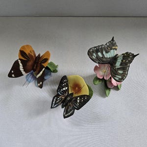 Franklin Mint Butterflies of the World - Etsy