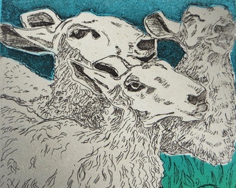 Etching and Woodblock Print:  Sheep