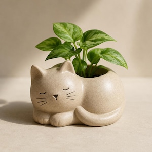 May include: A beige speckled ceramic planter shaped like a sleeping cat with closed eyes and whiskers. The planter features a hollow opening on the back containing a small green plant with variegated leaves. The cat has a smooth, matte finish.