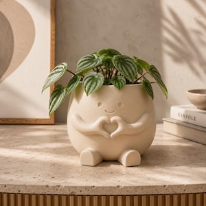 May include: A matte cream-coloured ceramic planter shaped like a rounded figure with small feet and arms forming a heart shape over its centre. The planter features a simple etched face and contains a Peperomia plant with green striped leaves.