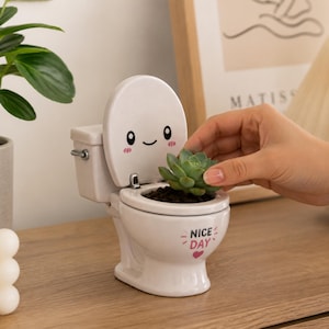 Op de afbeelding: Een witte keramische plantenpot in de vorm van een toilet, voorzien van een lachend gezicht op het deksel en de tekst "NICE DAY" met een klein roze hartje aan de voorzijde. Een groene vetplant staat in de kom, die gevuld is met donkere potgrond.