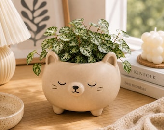 Vaso per piante a forma di gatto (file STL) / Decorazione da scrivania Kawaii (download digitale)