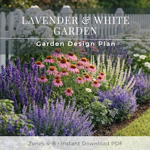 Lavender & White Garden Plan PDF, Full Sun Perennial Border Layout, Zones 4–8, Cottage Foundation Planting Design