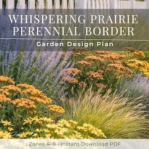 Drought Tolerant Prairie Garden Plan – Full Sun Perennial Border Design ...