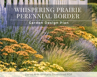 Drought Tolerant Prairie Garden Plan – Full Sun Perennial Border Design – Zones 4–8 – Low Maintenance Printable Planting Layout