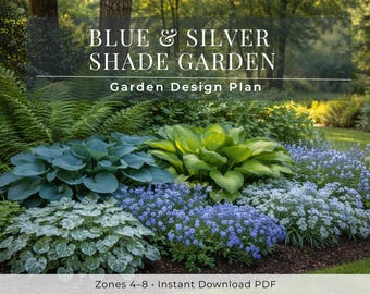 Blauw-zilveren schaduwtuin pdf, lay-out vaste plant diepe schaduw, zones 4-8, beplantingsontwerp bosfundering