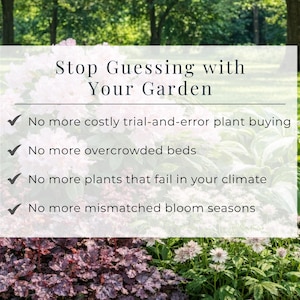 Serene Woodland Shade Garden Design Plan | Part Shade Perennial Landscape Layout | Zones 3-8 Printable PDF image 4