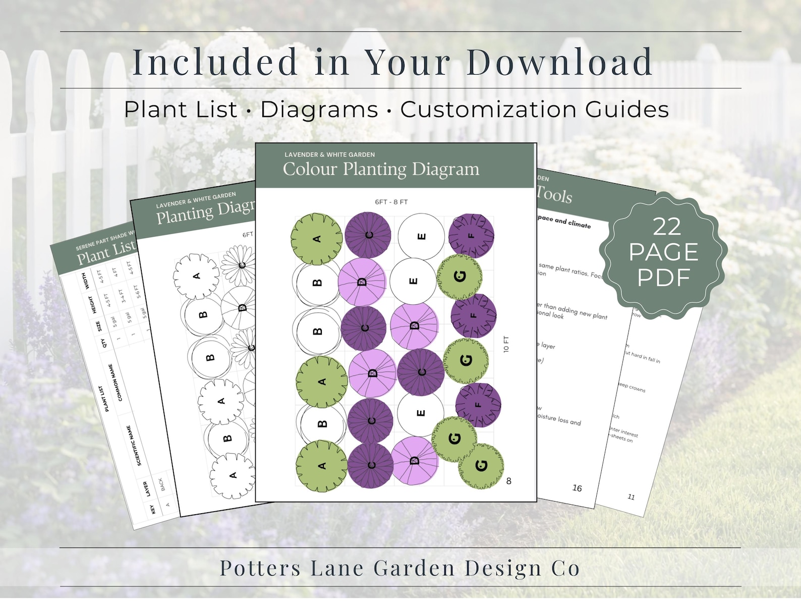 Lavender & White Garden Plan PDF, Full Sun Perennial Border Layout ...