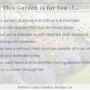 Lavender & White Garden Plan PDF, Full Sun Perennial Border Layout ...