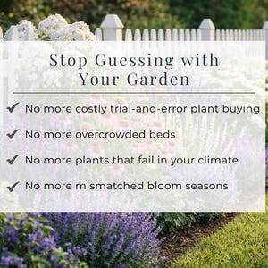 Lavender & White Garden Plan PDF, Full Sun Perennial Border Layout ...