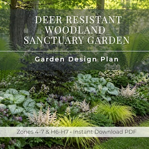 Deer Resistant Woodland Sanctuary Garden | Shade Garden Plan | 8 x 10 Landscape Design | Low Maintenance | Zones 4-7 & H6-H7