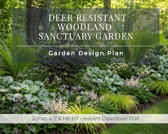 Deer Resistant Woodland Sanctuary Garden | Shade Garden Plan | 8 x 10 Landscape Design | Low Maintenance | Zones 4-7 & H6-H7