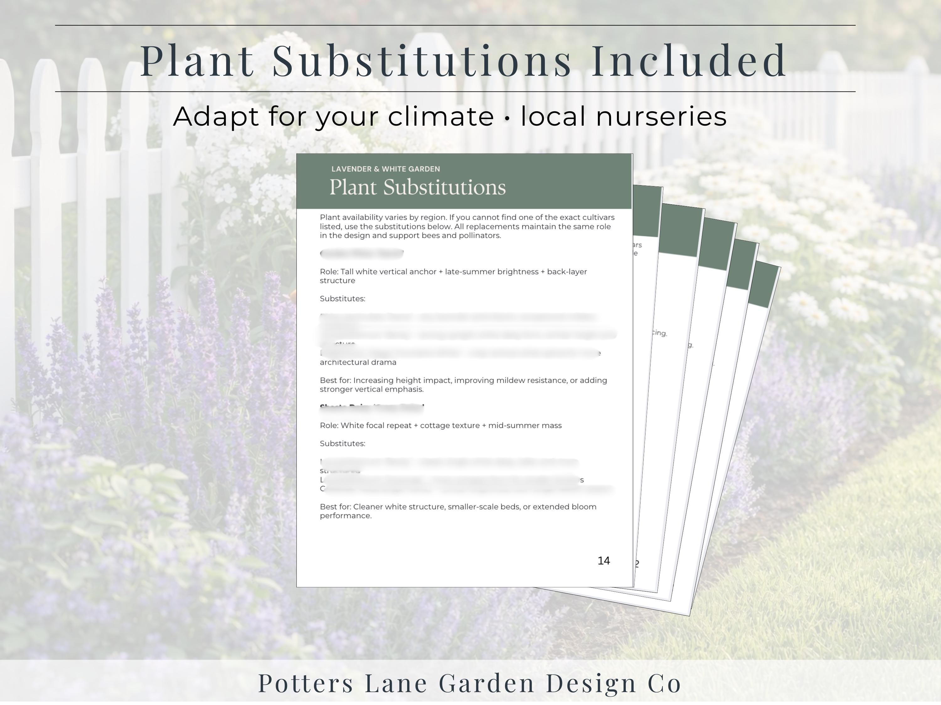 Lavender & White Garden Plan PDF, Full Sun Perennial Border Layout ...