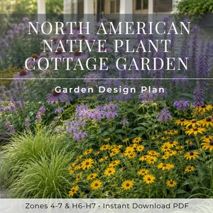Diseño de jardín rústico con plantas nativas de Norteamérica / Diseño de bordes perennes que atraen a los polinizadores / Diseño de jardín a pleno sol / Zonas 4–7